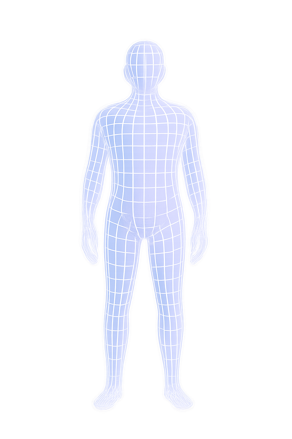 Digital wireframe human body for interactive biological twin